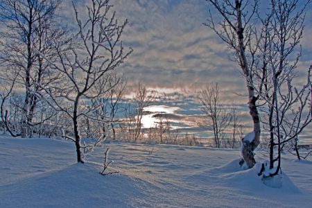 FINMARK eines der kältesten Gebiete Norwegens / Aufnahme bei -20°C