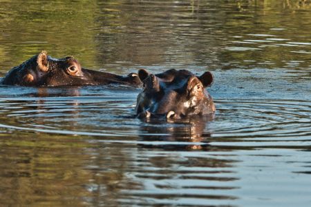 _DSC45374537