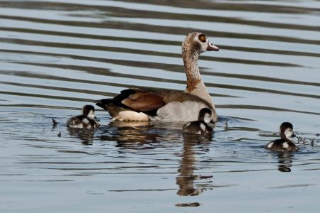 _DSC47204720