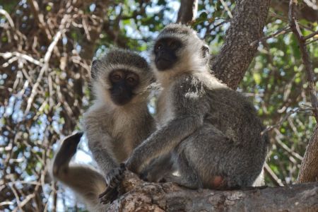 _DSC6477DSC6477
