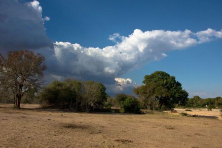 Inyati Game Wildreservat Südafrika