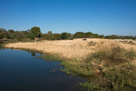 Sabi Sand River, Inyati
