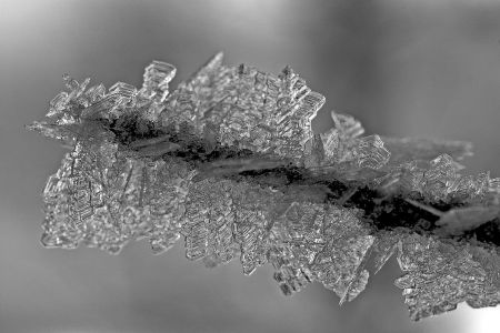 Winterliche Eiskristalle bei -15°C.